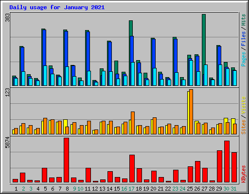 Daily usage for January 2021