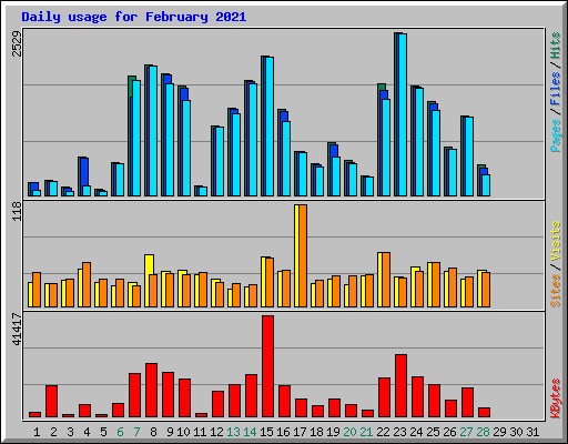 Daily usage for February 2021