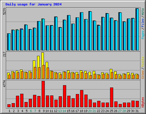 Daily usage for January 2024