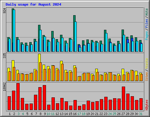 Daily usage for August 2024