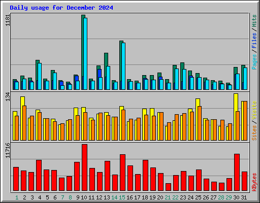Daily usage for December 2024