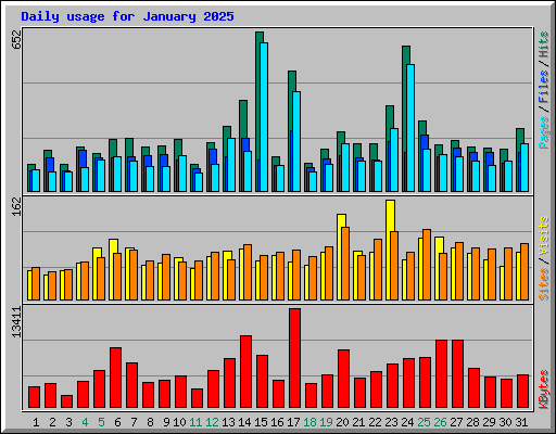Daily usage for January 2025