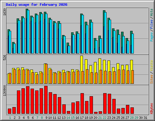 Daily usage for February 2026