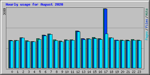 Hourly usage for August 2020