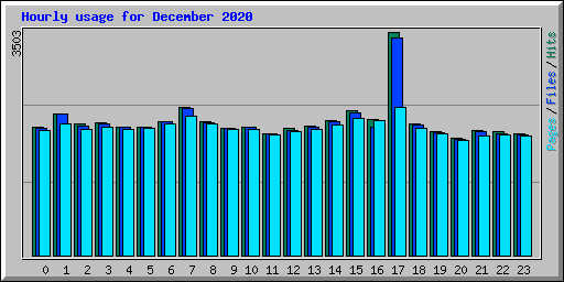 Hourly usage for December 2020