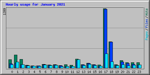 Hourly usage for January 2021