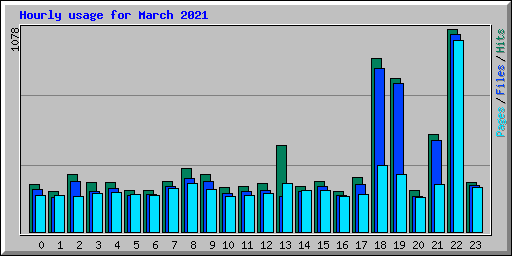 Hourly usage for March 2021