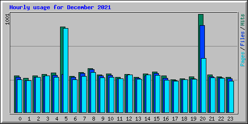 Hourly usage for December 2021