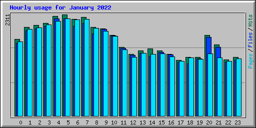 Hourly usage for January 2022