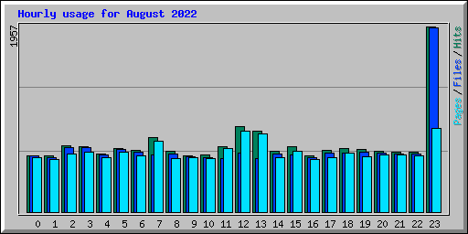 Hourly usage for August 2022
