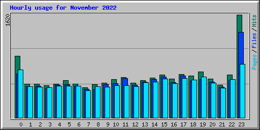 Hourly usage for November 2022