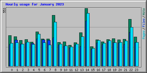 Hourly usage for January 2023