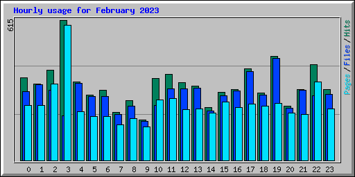 Hourly usage for February 2023