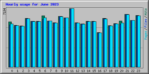 Hourly usage for June 2023