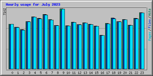 Hourly usage for July 2023