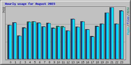 Hourly usage for August 2023