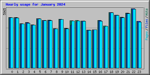 Hourly usage for January 2024