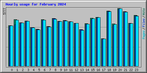 Hourly usage for February 2024