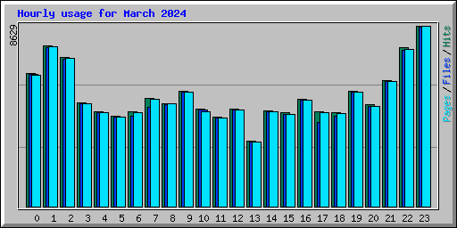 Hourly usage for March 2024