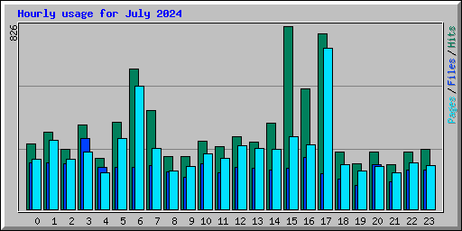 Hourly usage for July 2024