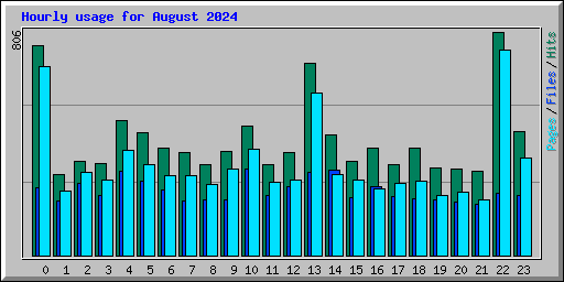 Hourly usage for August 2024