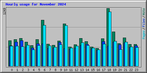Hourly usage for November 2024