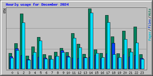 Hourly usage for December 2024