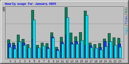 Hourly usage for January 2025