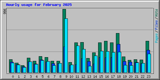 Hourly usage for February 2025