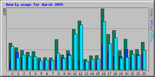 Hourly usage for March 2025