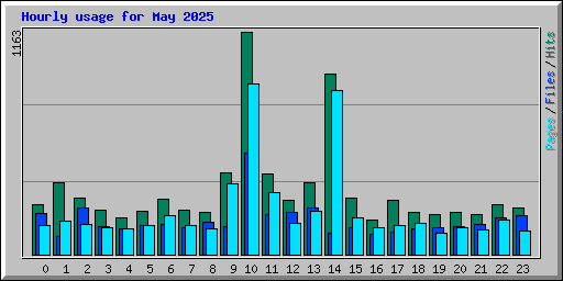 Hourly usage for May 2025