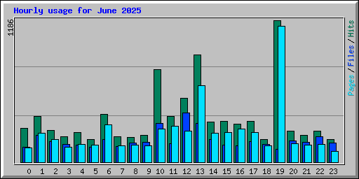 Hourly usage for June 2025