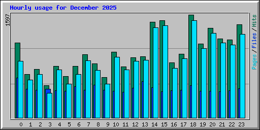 Hourly usage for December 2025