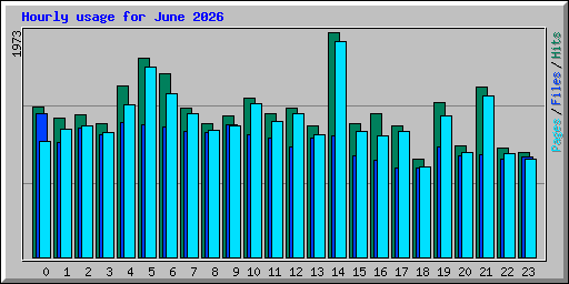 Hourly usage for June 2026